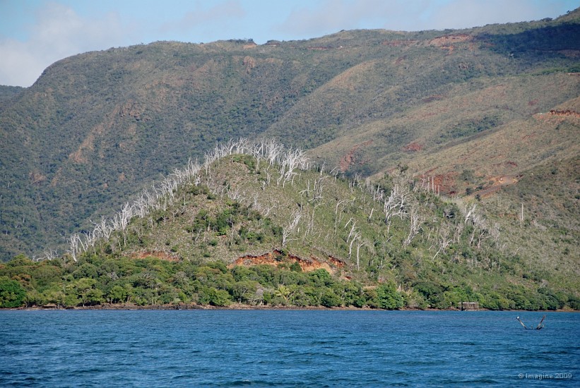 58- Dans la baie de Yate.JPG
